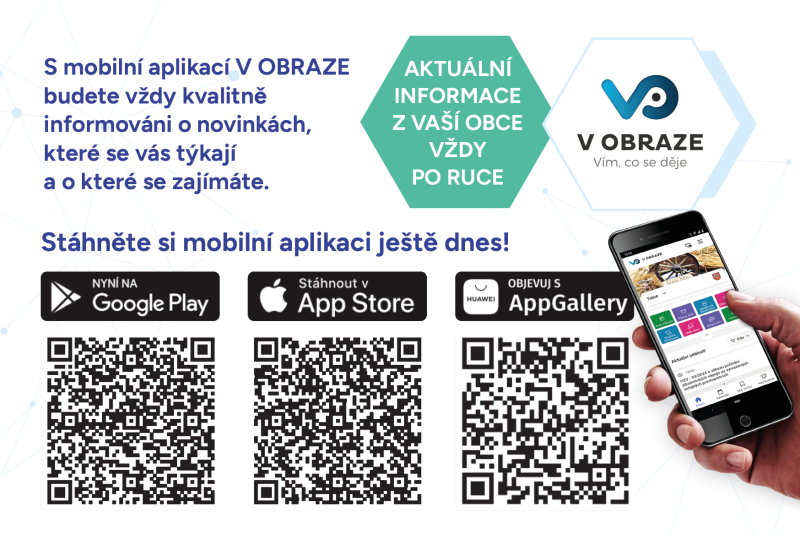 V obraze